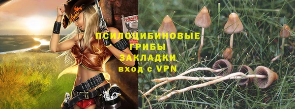 ПСИЛОЦИБИНОВЫЕ ГРИБЫ Надым