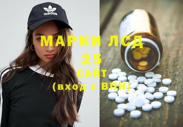 ПСИЛОЦИБИНОВЫЕ ГРИБЫ Алзамай