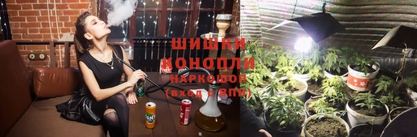ПСИЛОЦИБИНОВЫЕ ГРИБЫ Алзамай