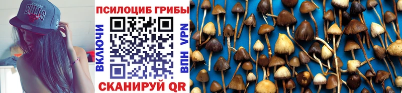 Псилоцибиновые грибы Psilocybe  Островной 